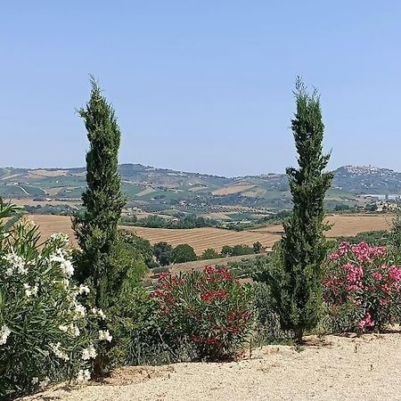 Appartamento Olivo Collecorvino Экстерьер фото