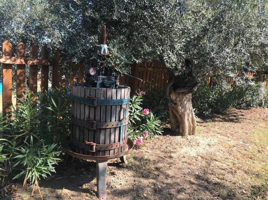 Appartamento Olivo Collecorvino Экстерьер фото